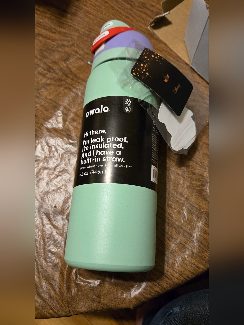 Disney Princess Ariel Owala Water Bottle
